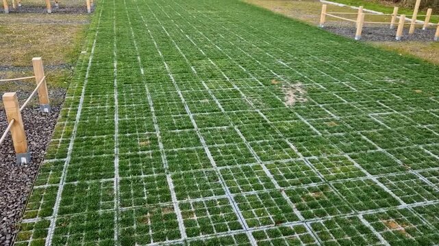 Plastic Grid Systems system made from recycled plastics that reinforce  ground for parking walkways.Stormwater Management permeable, allowing rainwater soak into ground rather running off into seweR