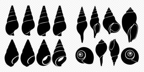 Set of black silhouettes of various seashells and snail shells on a transparent background. © Akun