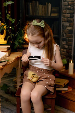 Girl sitting at table looking through magnifying glass at duck bird, curious child learning through play