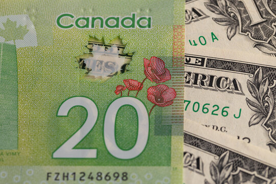 Canadian 20 dollar polymer banknote with poppy and US dollar fragment