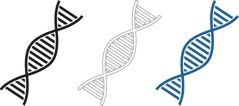 DNA icon, long genetic molecule structure