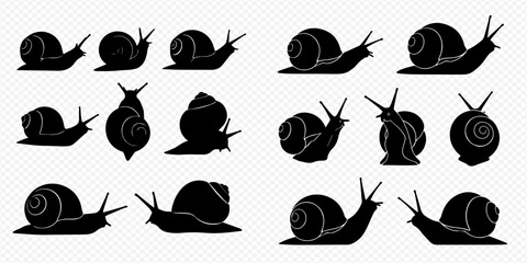 Set of various snail silhouettes, mollusk vector illustration, garden slug icons, gastropod collection. © Akun