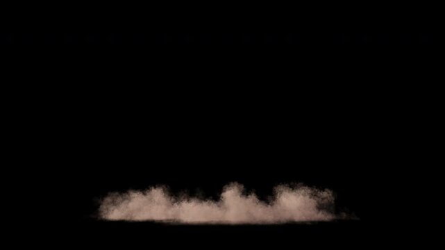 Dust eXplosion, Bulding Colapse