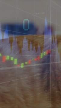 Vertical video: Shifting camera showing cat eye as finance chart overlaying fur, showing trends