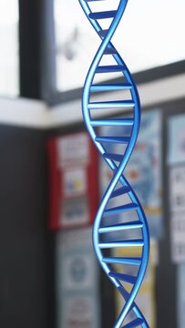 Vertical video: Playback starting, blue DNA helix rotating in classroom revealing turns for biology
