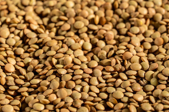 Close up of lentils on a tile surface 