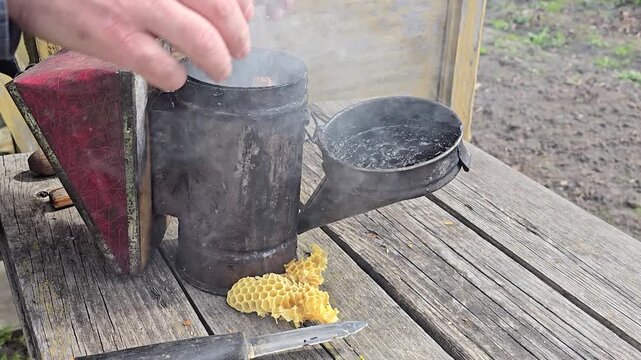 Beekeeper preparing a bee smoker for hive inspection on a rustic wooden table, spring beekeeping season