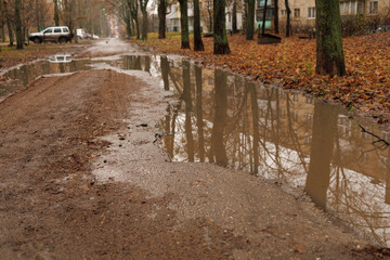 Naklejka premium A dirt road shows puddles formed by recent rain. Trees line the street, and leaves cover the ground
