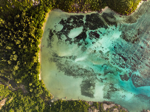 Aerial view of Cap Ternay bay featuring turquoise waters, vibrant coral reefs, and lush tropical forest at Cap Ternay, Port Glaud, Seychelles.