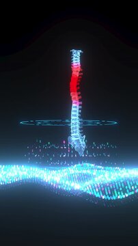 4k Vertical Video Curved Spine in Digital Visualization &ndash; Concept of Back Disorders and Postural Problems. ProRes 4444.