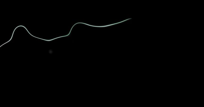 Fluid Abstract Arcing Streaks Flowing Fast Across Wide Canvas Seamless for Transition FX