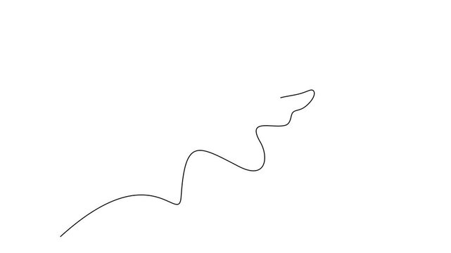 Animated self drawing of continuous line draw of  Peace dove with olive branch   Full length one line animation. 4K