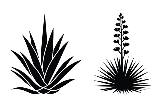 Desert plant silhouettes: agave and yucca with silhouette succulent abstract