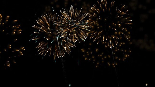fireworks in the night sky motion video move