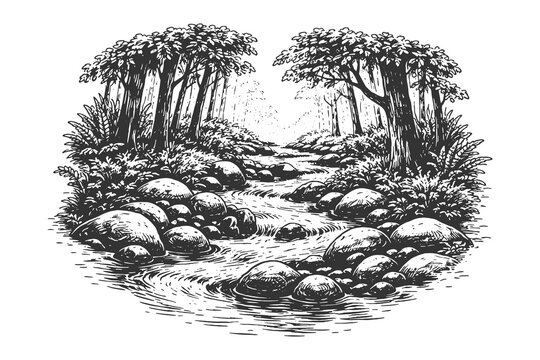 Detailed engraving of forest river with rocks and trees, ideal for nature illustration and prints.