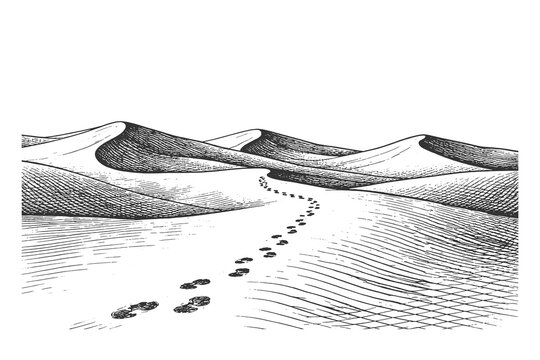 Hand-drawn desert dunes with footprints, vintage engraving style, perfect for prints or travel design.