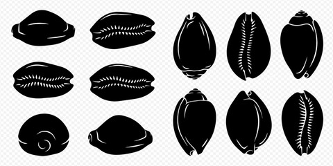 Set of black silhouettes of cowrie shells, various shapes and sizes, isolated on a transparent background. © Akun