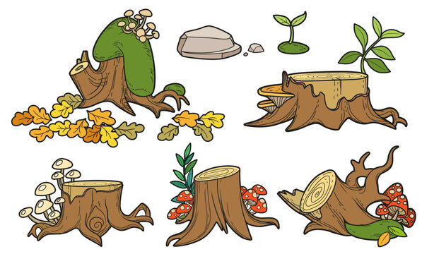 Big set of stumps with a moss, oak leaves and fairy-mushrooms isolated on white background