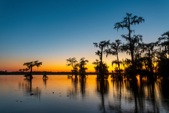 Lake Martin at Cypress Island Preserve, Cypress swamp scenic landscape with reflections at sunset, Breaux Bridge near Lafayette, Louisiana