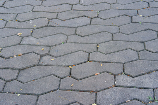 Overhead View of Oval Concrete Paving Stone Texture