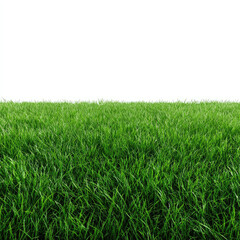 Obraz premium Green grass field isolated white background with fresh natural