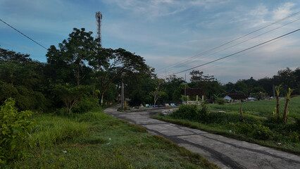 Obraz premium Tranquil rural road surrounded by lush greenery and a cloudy sky in the morning light