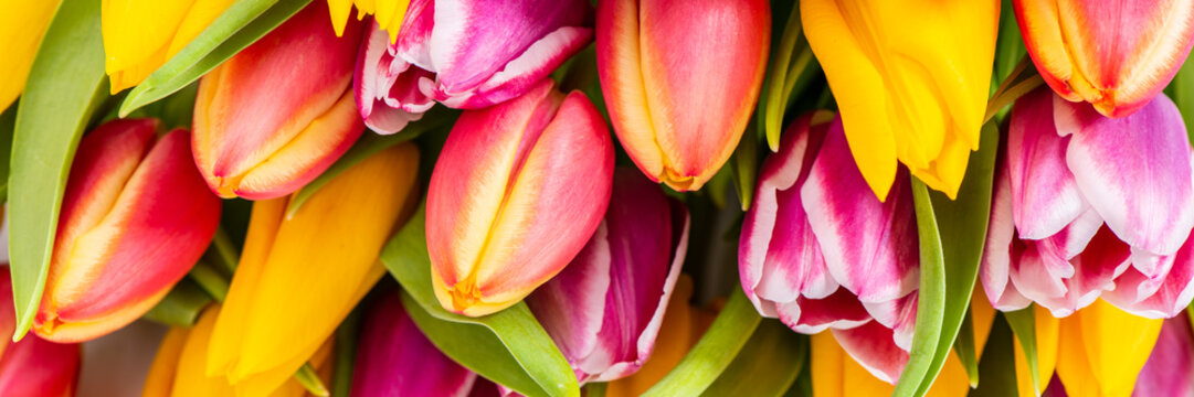 Ein Blumenstrau&szlig; mit bunten Tulpen im Detail