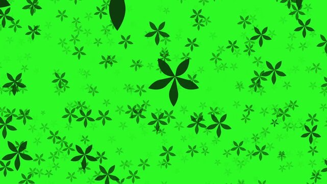 Decorative clover pattern minimal green screen seamless animation elegant botanical abstract loopable background texture modern simple fresh organic symmetry tileable design nature soft gradient 