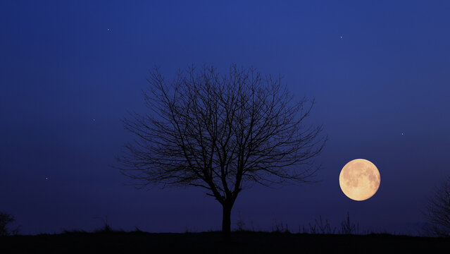 Full Moon, stars and planets above landscape silhouettes.