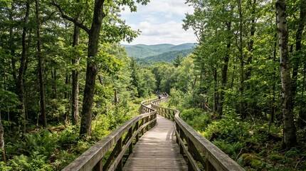 Obraz premium Wooden Boardwalk Winding Through Lush Green Forest Towards Distant Mountains