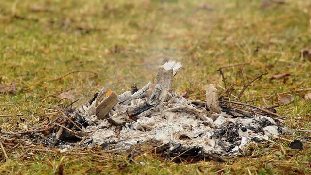 Tight shot of pouring water on campfire embers, safely extinguishing any fire hazard.