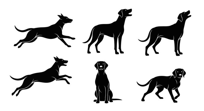 Set of Black Dog Silhouettes in Various Poses and Actions