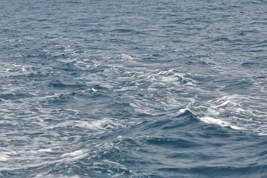 Cerulean Churn
A candid snapshot of the open sea in motion, where deep navy swells collide to create a textured tapestry of whitecaps and sea foam.