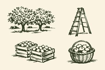 Apple orchard harvest set ink sketch vector illustration © Victoria