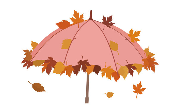 Autumn umbrella vector illustration pink fall leaves cartoon design