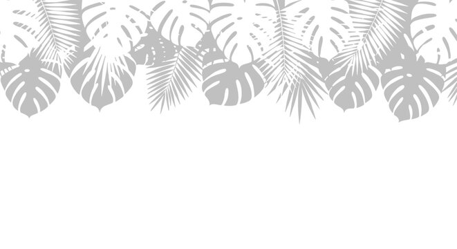 Decorative horizontal border consists of grey silhouettes of various tropical leaves like monstera and palm fronds on a white background.