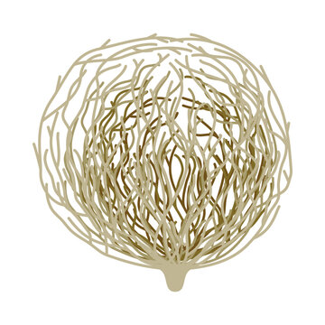 Vector illustration of a cartoon tumbleweed depicting a round shape with many dry branches on a white background