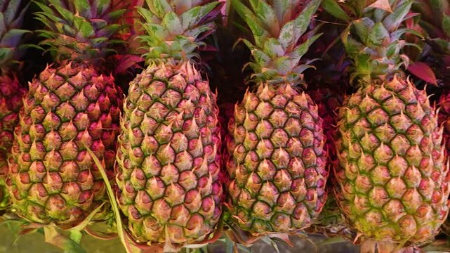 Fresh ripe pineapples close up at tropical fruit market, cinematic slider shot of organic pineapple display