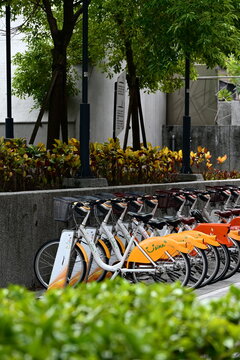 Taiwan - Oct 25, 2025: Row of orange and white YouBike shared bicycles neatly docked at urban station, green hedge foreground, gray wall and lush trees background, eco-friendly city transport, Taiwan.