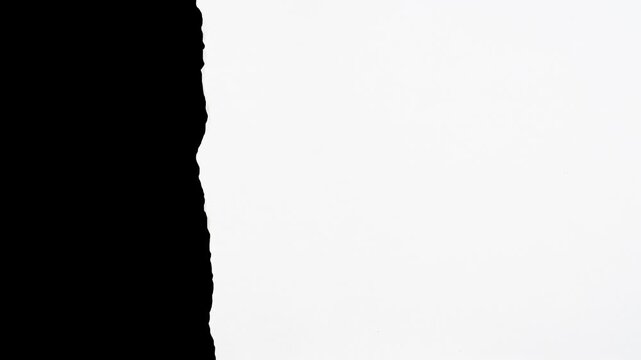 black and white torn paper transition, torn paper texture background. Perfect for video transition.