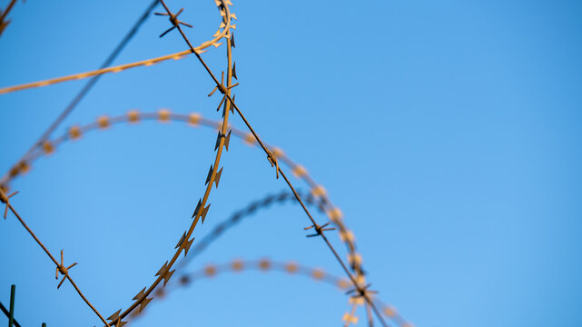 barbed wire against blue