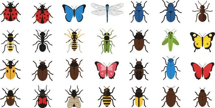 Flat Colorful Insect Collection Ladybug Butterfly Beetle Ant Wasp Dragonfly and Fly Vector Illustration Set for Nature Design