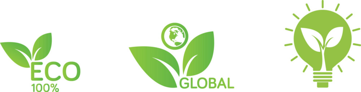 Sustainable eco-friendly lifestyle with global and local green initiatives