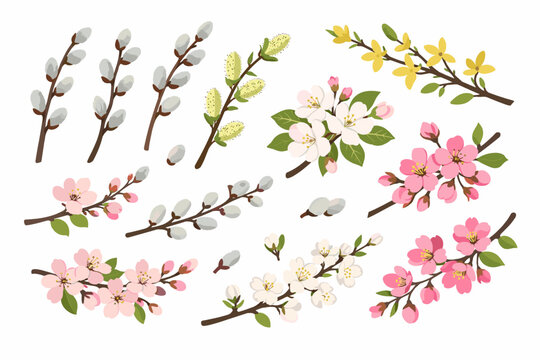 Collection of spring willow and flowering branches sketch. Simple flat vector illustration of cherry blossoms, sakura, forsythia, apple blossoms, and pussy willow twigs for Easter and nature.