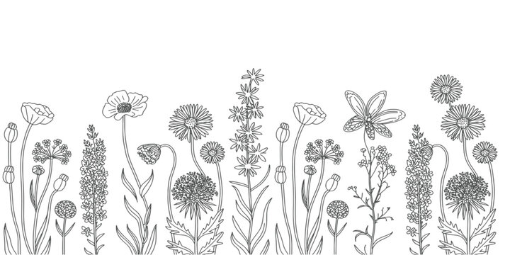 Black Sketch of Flowers Isolated on White Background. Set of flowers vector illustration of a plant .elements including blooming flowers,buds, leaves, stems, and small botanical branches. vectordesign