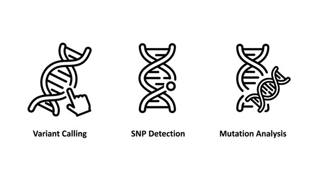 Genetic research and DNA analysis icons for variant calling snp detection and mutation analysis in science and biotechnology labs with research analysis mutation detection chromosome biotechnolog