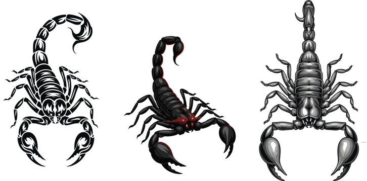 Scorpion Vector Illustration Set Featuring Detailed Black and Red Scorpion Designs in Different Angles for Wildlife, Tattoo, Danger Symbol, and Nature Graphics