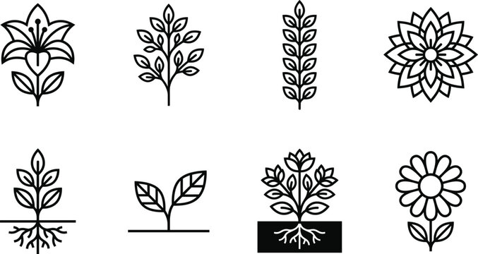Botanical Flower Icon Set with Leaves, Plants, Growth Stages, Gardening Elements, Nature Symbols, Outline Floral Vector Illustration Collection