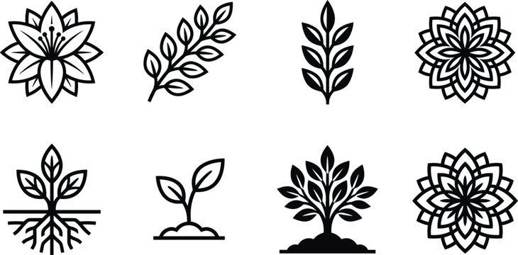 Botanical Plant Icon Set with Leaves, Flowers, Growth Stages, Nature Elements, Floral Symbols, Gardening and Ecology Outline Vector Illustration Collection