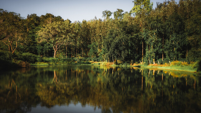 Beautiful lake in Biligirirangana Hills (BR Hills), Karnataka, reflecting the surrounding forest and showcasing the tranquil beauty of the Western Ghats landscape